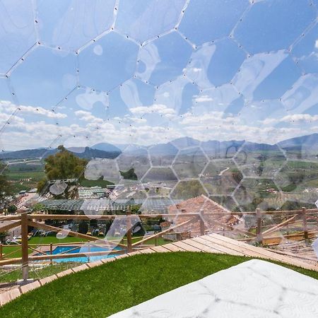 Finca Puerto Ermita - Cerca Malaga 20Km - Pizarra Extérieur photo